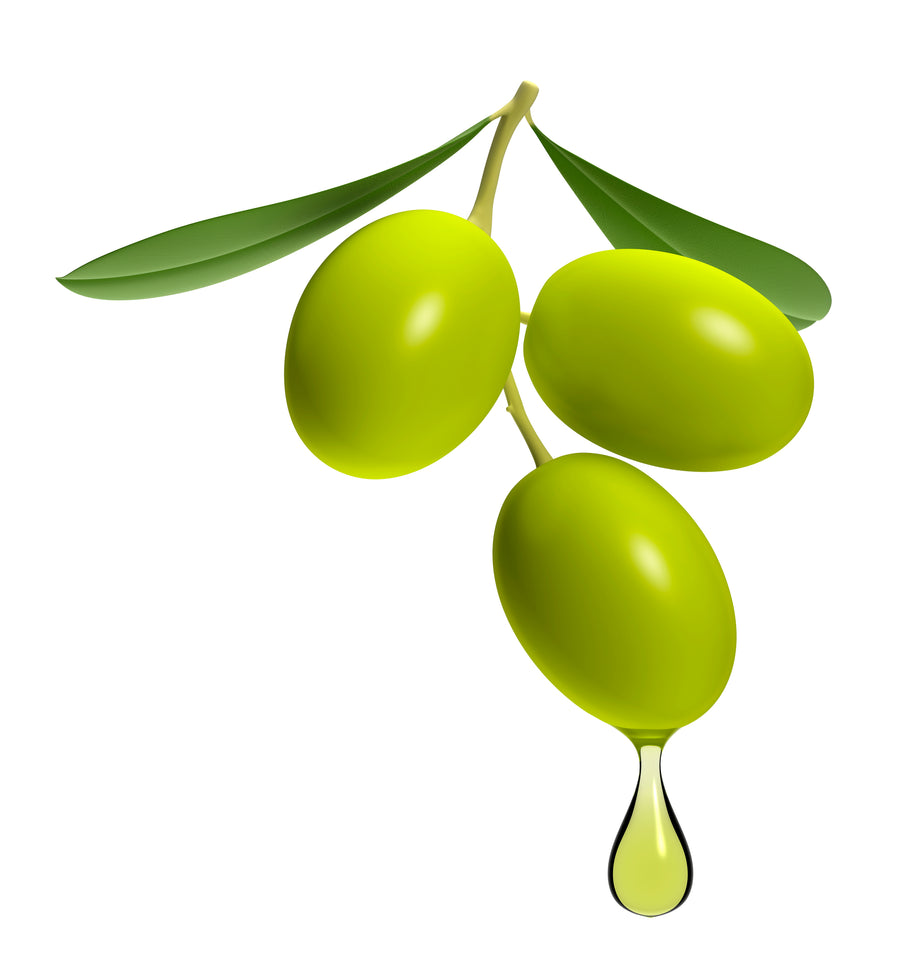 EuroStyle® Herbal Care® Deep Moisturizing Olive Shampoo Anti-Frizz Formula